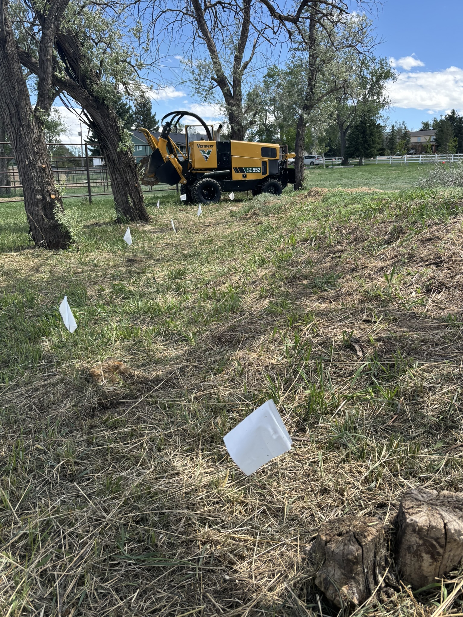 Multiple stump clearing across a residential property
