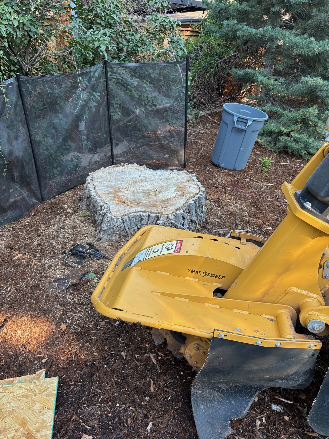 Professional stump grinding with compact equipment at a residential tree stump